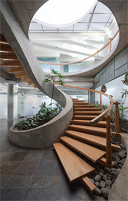 Vinta realty limited